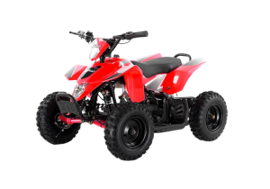 Квадроцикл ATV Apollo RFZ E-KITTY 1000W