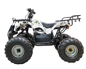 Квадроцикл GreenCamel Атакама T220 (48V 1000W R8 Дифференциал)