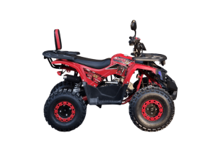 Квадроцикл ATV R-moto Lion 125 A