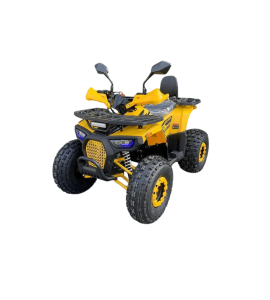 Квадроцикл ATV R-moto Lion 125 R
