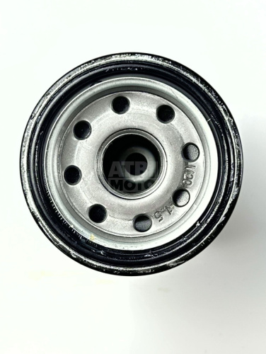 Фильтр масляный HiFlo HF303 Фильтр масляный HiFlo HF303