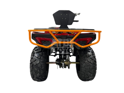 Квадроцикл R-moto Lion 200 King Квадроцикл R-moto Lion 200 King