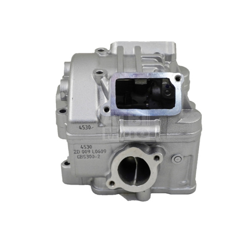 Головка цилиндра ZS174MN-3 (CBS300) Головка цилиндра ZS174MN-3 (CBS300)
