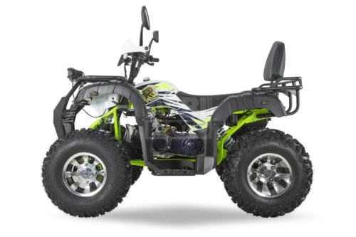 Квадроцикл R-moto Lion 200 PRO Квадроцикл R-moto Lion 200 PRO