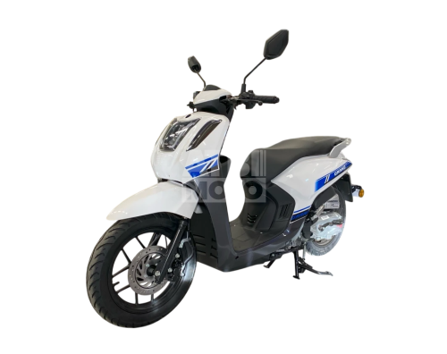 Скутер PROMAX Grand 240 Скутер PROMAX Grand 240