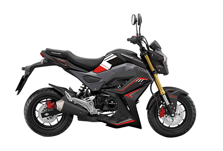 Мотоцикл PROMAX STRYKER 200 2.0