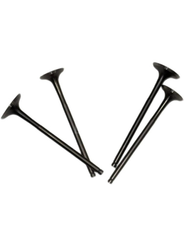 Комплект клапанов ГРМ ZS170MM-2 ZS174MN-3 (CBS300) ZS177MM(NC250) (2 шт) Комплект клапанов ГРМ ZS170MM-2 ZS174MN-3 (CBS300) ZS177MM(NC250) (2 шт)