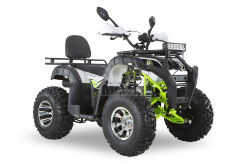 Квадроцикл R-moto Lion 200 PRO Квадроцикл R-moto Lion 200 PRO